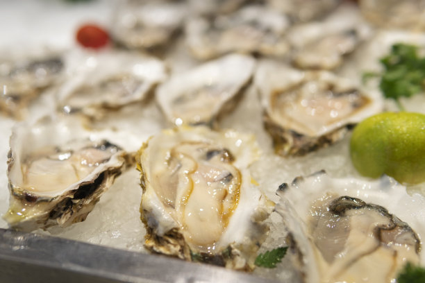 自助餐里有很多冰块上的牡蛎图片下载