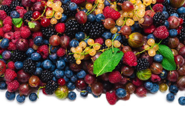 醋栗、蓝莓、桑椹、覆盆子、白醋栗和红醋栗分离图片下载