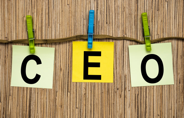 首席执行官业务客户管理分析服务概念业务团队图片下载