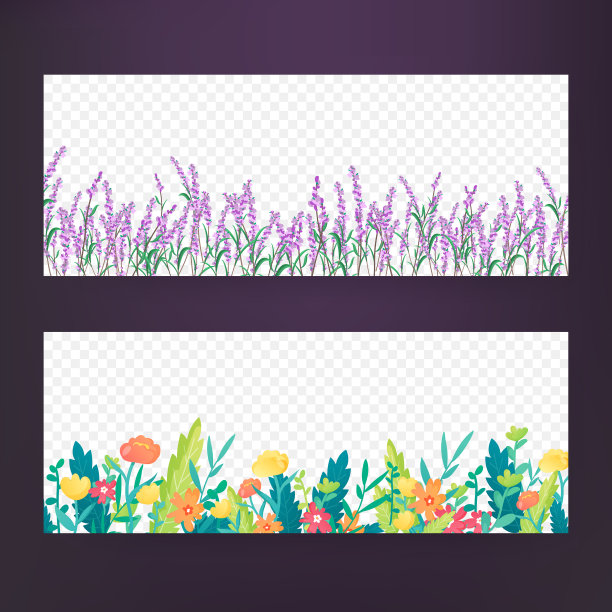 明亮的花的边界上透明的背景图片下载