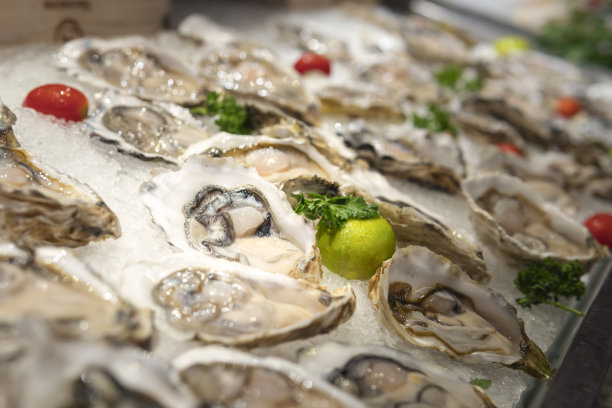 自助餐里有很多冰块上的牡蛎图片下载