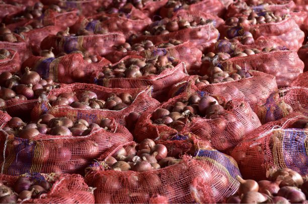 麻袋洋葱图片下载