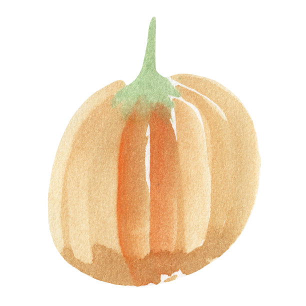 水彩画橙色南瓜在白色的背景。秋天，万圣节，节日，丰收。图片下载