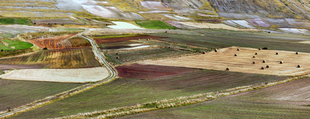 蒙蒂隐晦图片下载