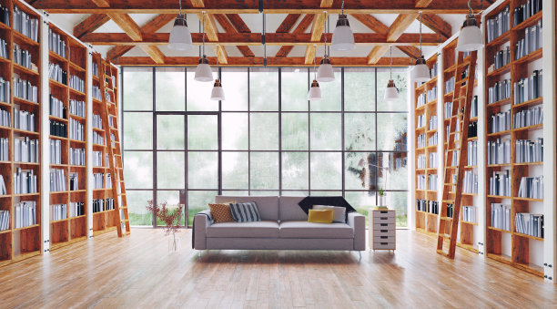 客厅和大图书馆。图片下载