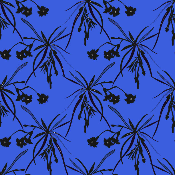 康乃馨花图片下载