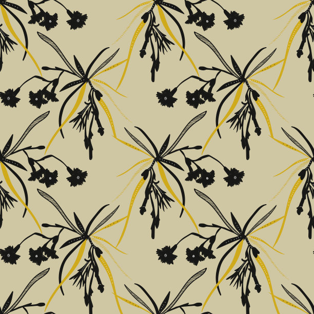 康乃馨花图片下载