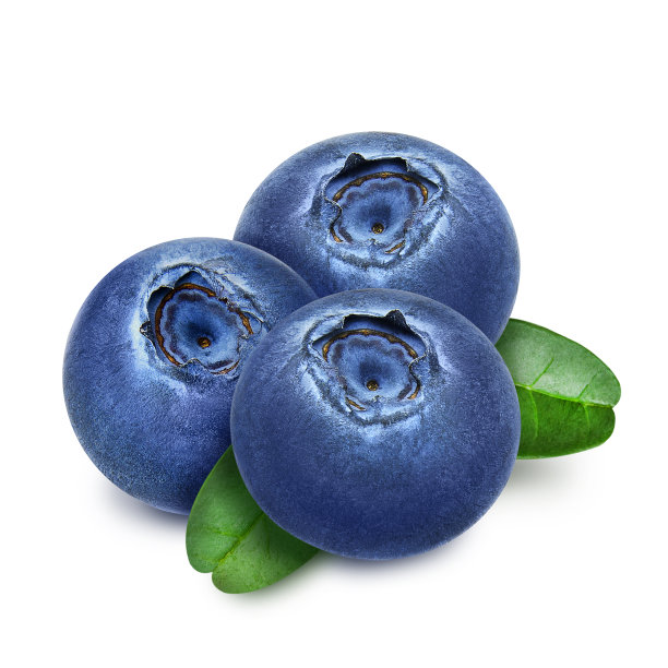 三个带叶子的新鲜蓝莓。图片下载