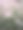 美丽的春天八载樱草上亮粉色花瓣2020图片下载