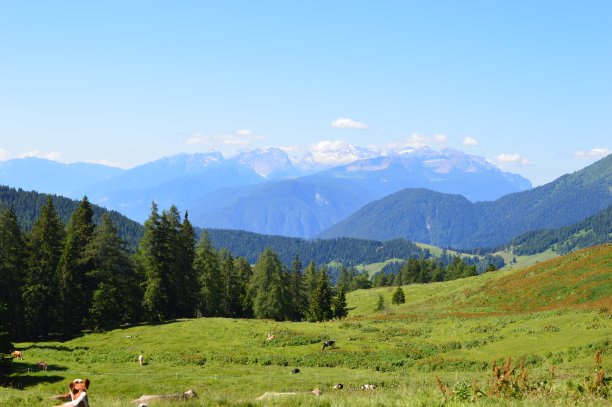 南蒂罗尔图片下载