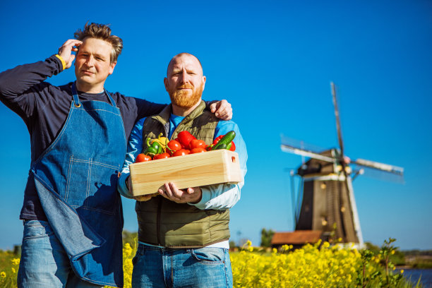 两个荷兰农民在风车旁图片下载