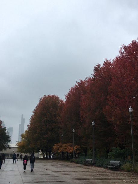 秋天的芝加哥图片下载