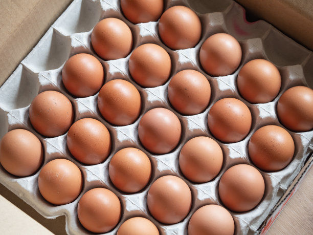 很多新鲜的生鸡蛋。图片下载