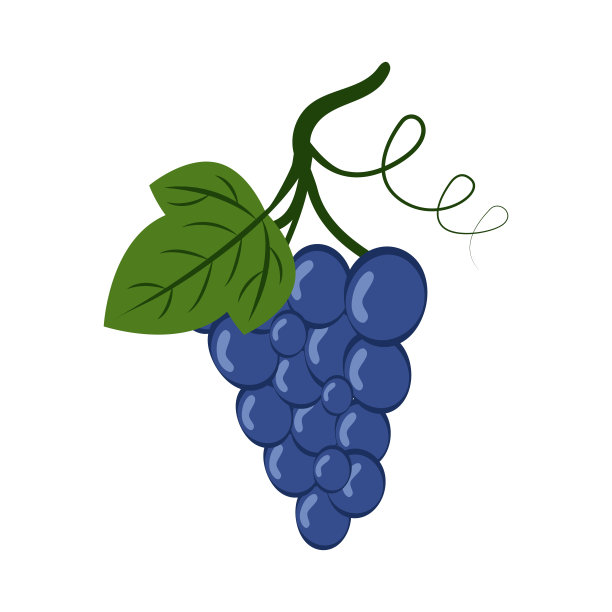 葡萄平面图标。图片下载