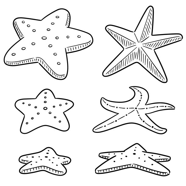 设置海星图片下载