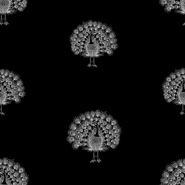 无缝图案的轮廓装饰孔雀图片下载