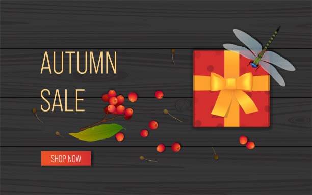 圣诞节元素创意图片图片下载