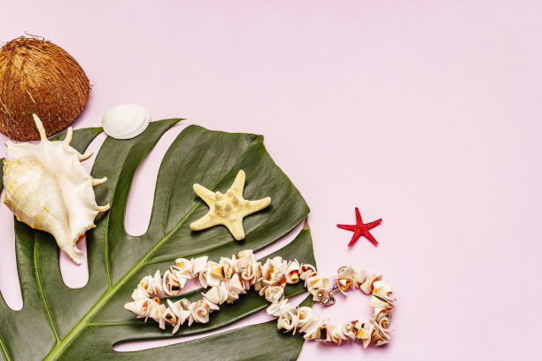 旅行和度假冠状病毒概念图片下载