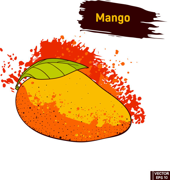 彩色素描水果芒果图片下载