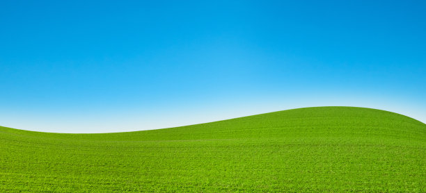 绿色的田野和蓝色的天空背景图片下载