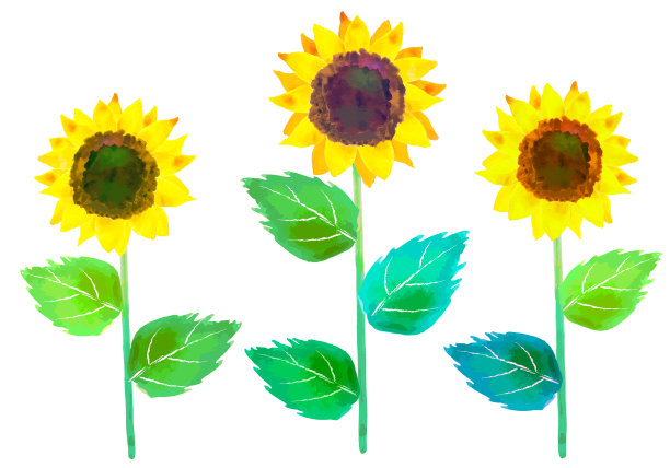 水彩向日葵剪纸图片下载