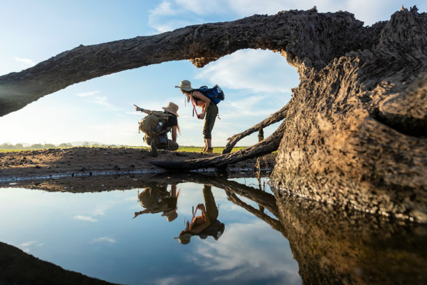 团体背包女人们旅行和探险指向大自然。亚洲朋友和团队散步放松目的地休闲景观森林在夏季的一天。旅游和生活方式概念图片下载