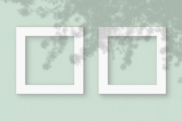 两张方形的白色纹理纸在浅绿色的墙壁背景上。模型与植物阴影覆盖。自然光在外来植物的叶子上投下阴影。平躺，俯视图图片下载