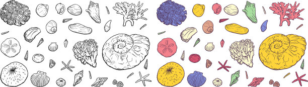 手绘集海贝壳、星星、珊瑚和珍珠图片下载