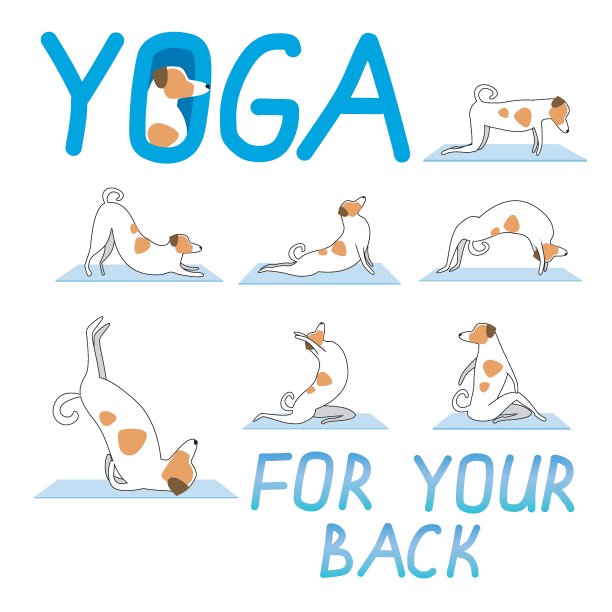 瑜伽练习的背部和可爱的杰克罗素梗作为性格，平面或轮廓矢量股票插图与狗和体式图片下载