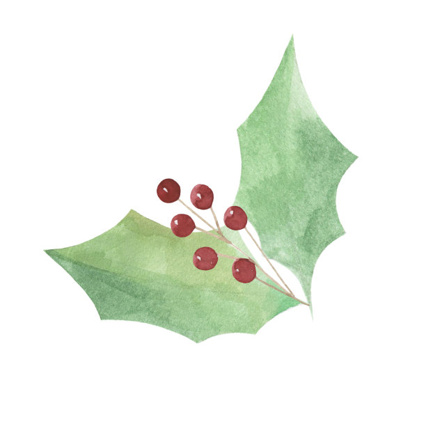 水彩圣诞元素。绿色的叶子和红色的浆果。圣诞节，节日，装饰，新年，冬天。图片下载