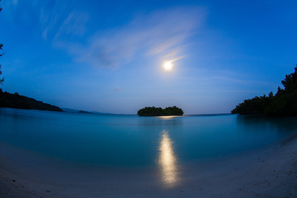 夜晚的海滩和满月图片下载