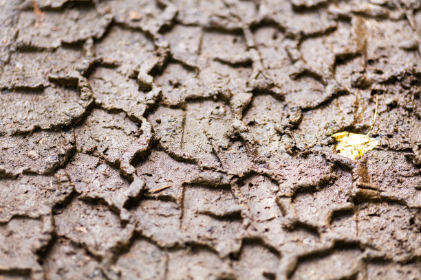 泥浆背景上的轮胎胎面印痕图片下载