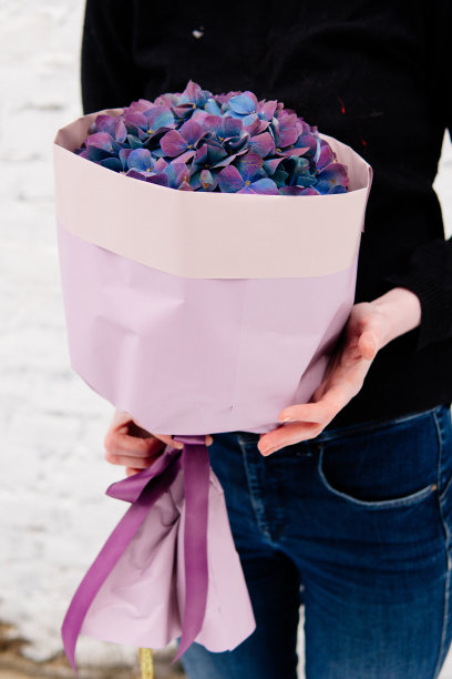 一束紫色的绣球花图片下载