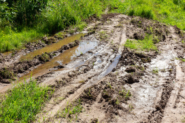 乡间的泥土路，车轮上绕着水坑图片下载