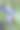 蓝莓灌木丛上成熟蓝莓的特写图片下载