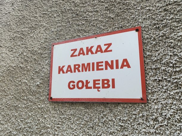 禁止喂饲鸽子图片下载