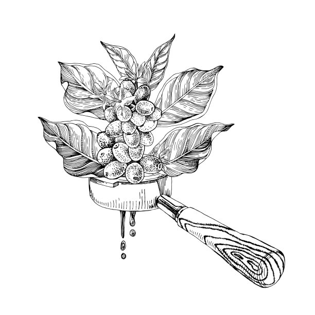 咖啡分支进入门户过滤器图片下载
