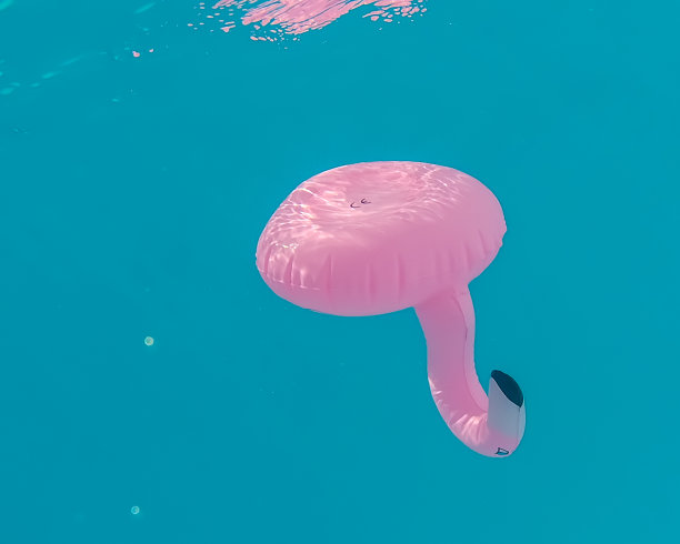 溺水塑料火烈鸟图片下载