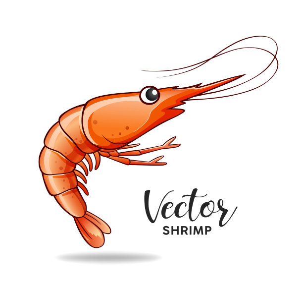 虾设计，矢量孤立在白色背景图片下载