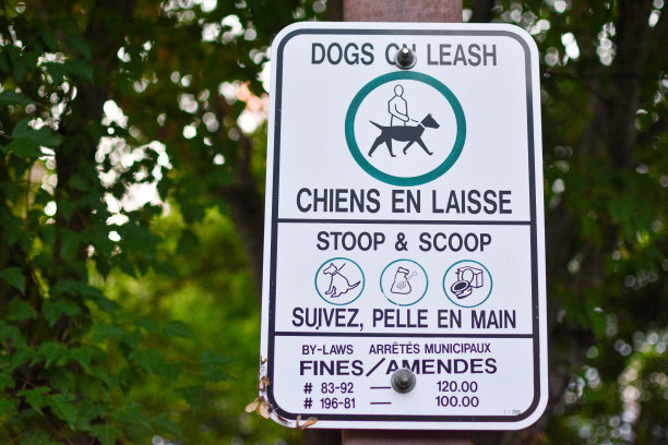 规章制度罚款标志图片下载