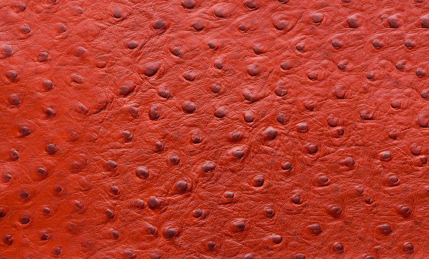 真皮纹理背景。图片下载
