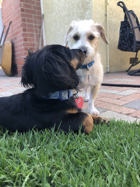 了解你图片下载