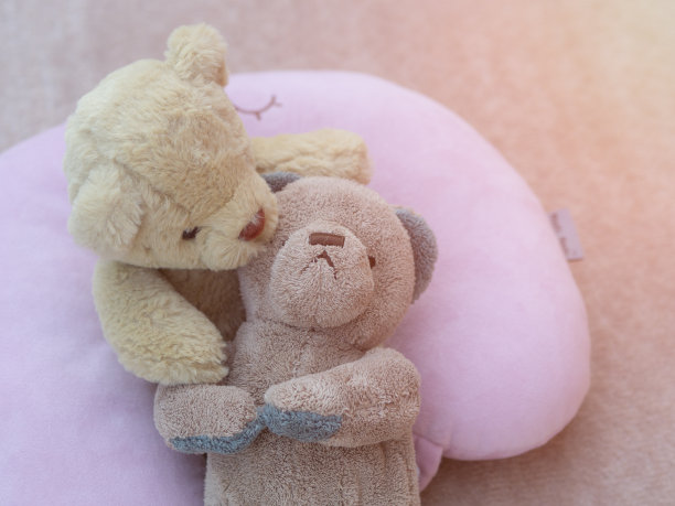 泰迪情人情人和婚礼概念图片下载