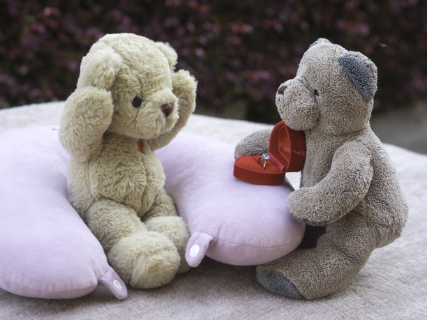 泰迪情人情人和婚礼概念图片下载