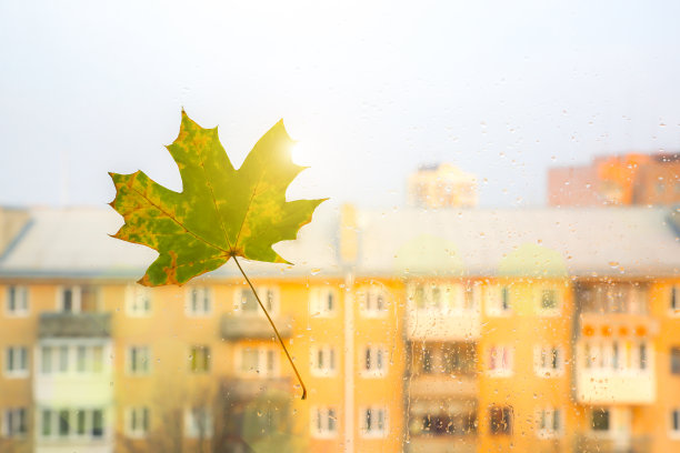 软焦点的照片。窗外真正的秋叶。季节性的照片。黄色和绿色有纹理。11月的明信片。透明背景。美丽的城镇景色。图片下载