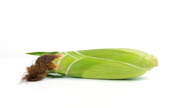 白色背景上的玉米图片下载