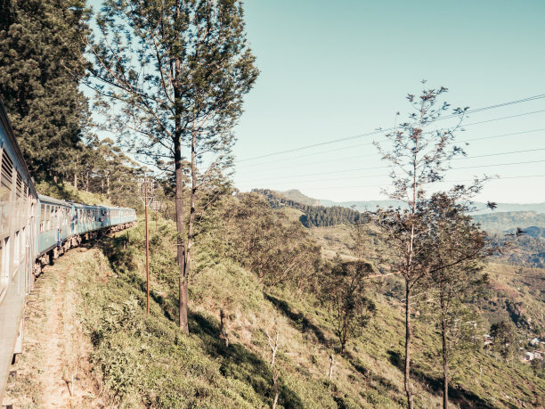 蓝色火车穿过茶园的视角图片下载