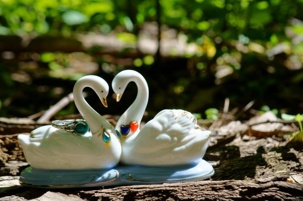一对自然中的纪念品天鹅。图片下载