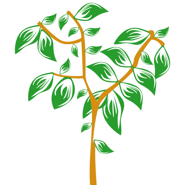 树插图与棕色的树枝和绿色的树叶和白色的背景图片下载
