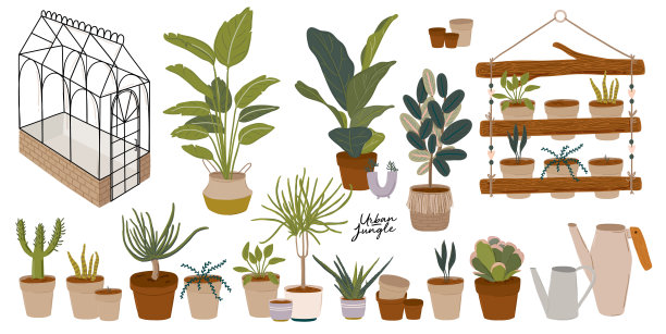 时尚的斯堪的纳维亚城市绿化引用。家庭装饰用的家庭丛林字母。图片下载